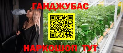 сатива Нальчик