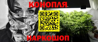 сатива Нальчик