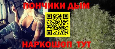 сатива Нальчик